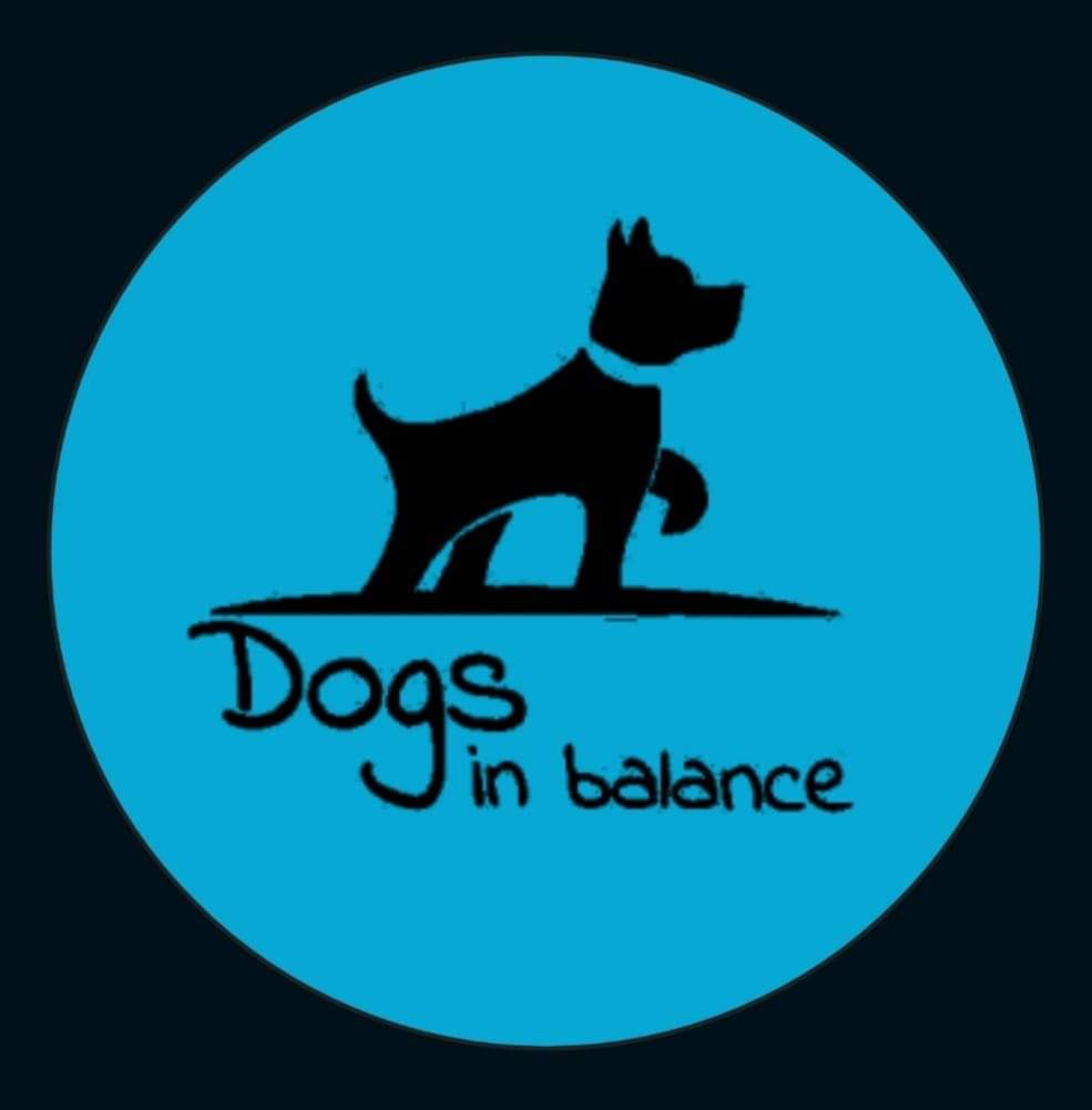 Dogs In Balance